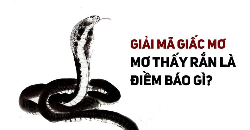 giải mã ý nghĩa giấc mơ thấy rắn là điểm báo gì?